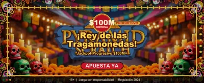Premium Casino Experience